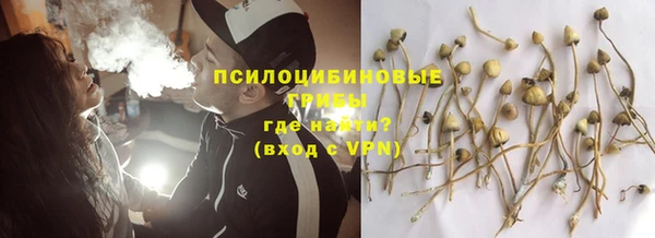 хмурый Карталы
