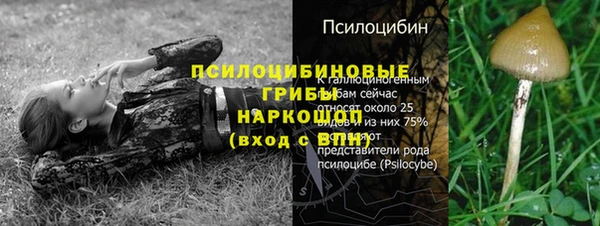 марки nbome Карпинск