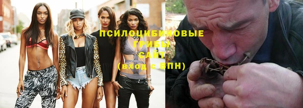 МДПВ Киреевск